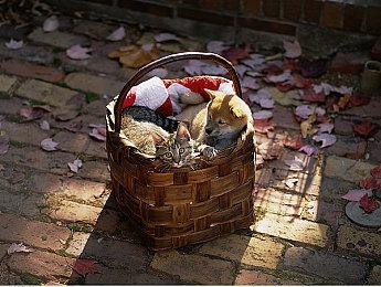 《黑神话：悟空》DLSS3 Boss战实机演示 画面效果酷炫